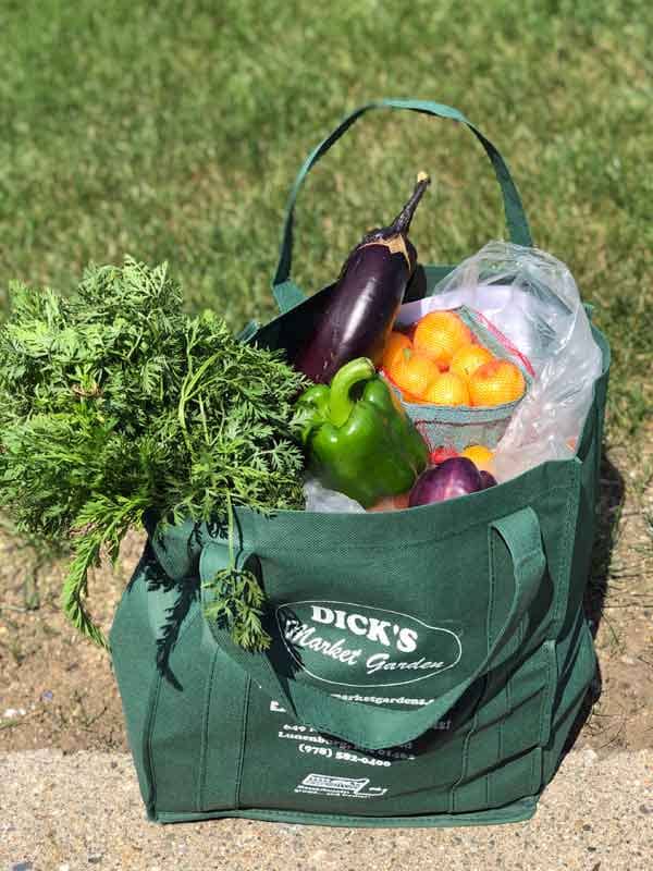 Bag of fresh product from farm share